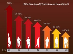 bieu-do-testosterone-nam